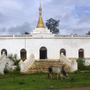 04_Inle Lake (68)